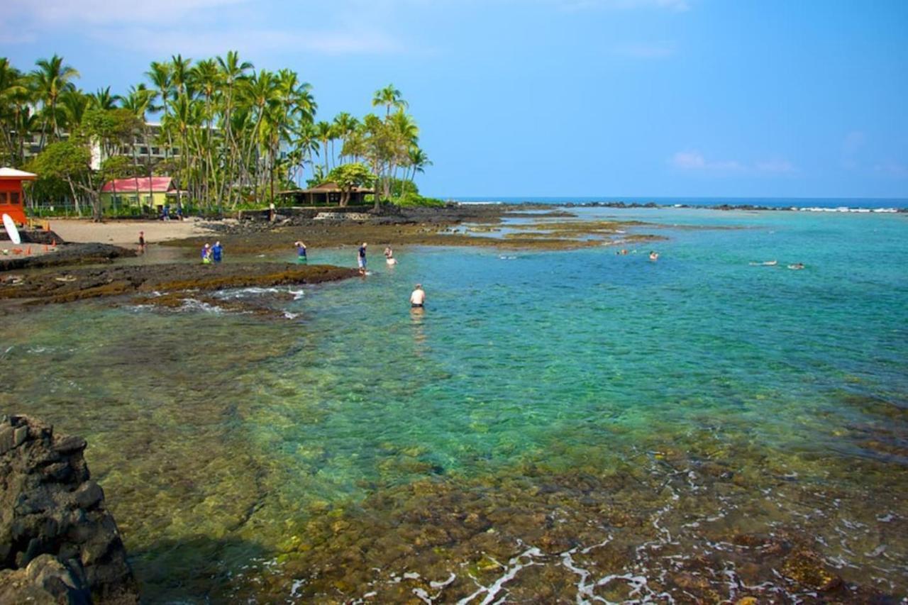 The Cozy Big Studio -30 Days Kailua-Kona Exterior photo